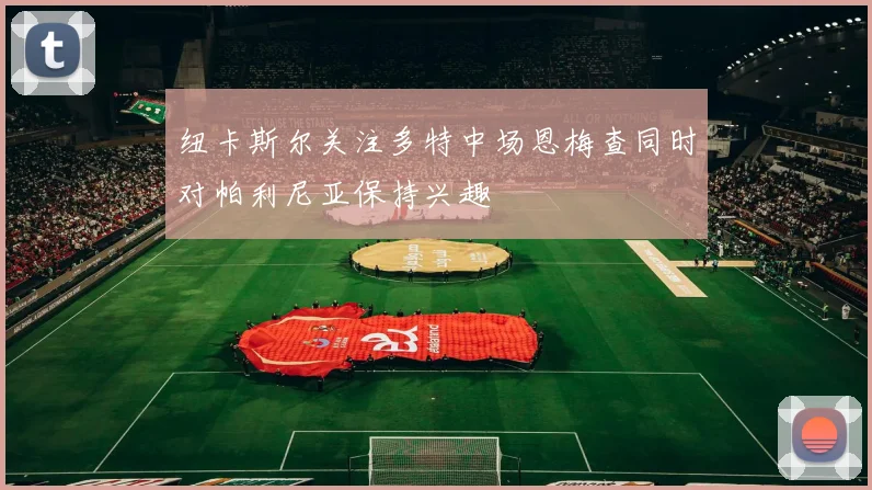纽卡斯尔关注多特中场恩梅查同时对帕利尼亚保持兴趣